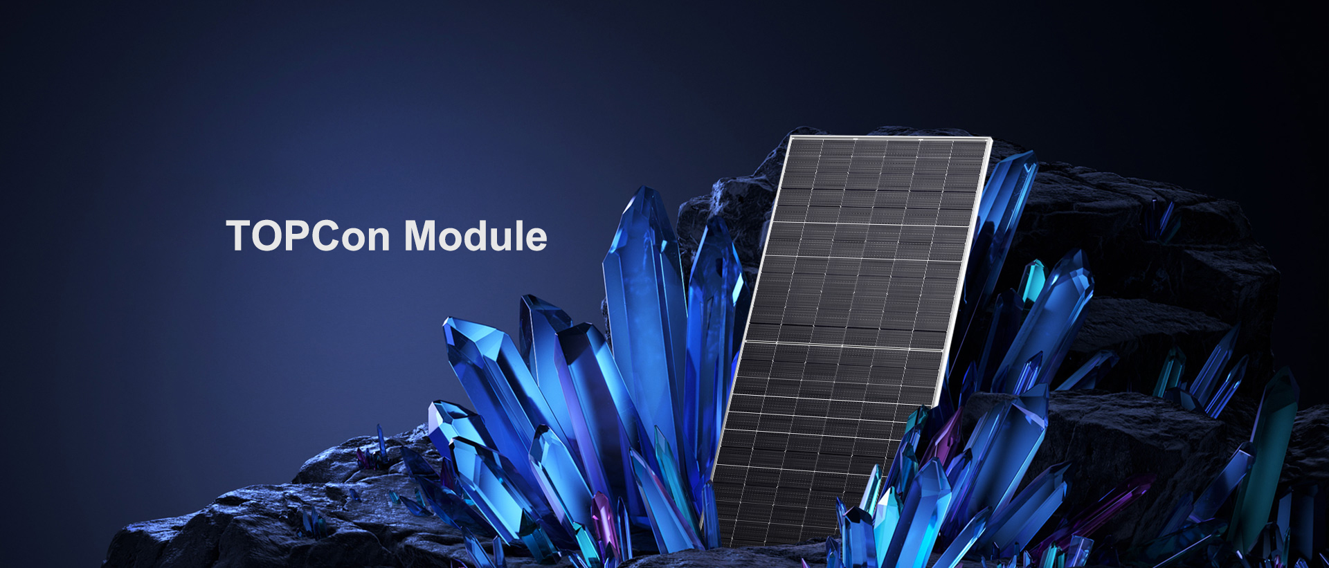 TOPCon Module